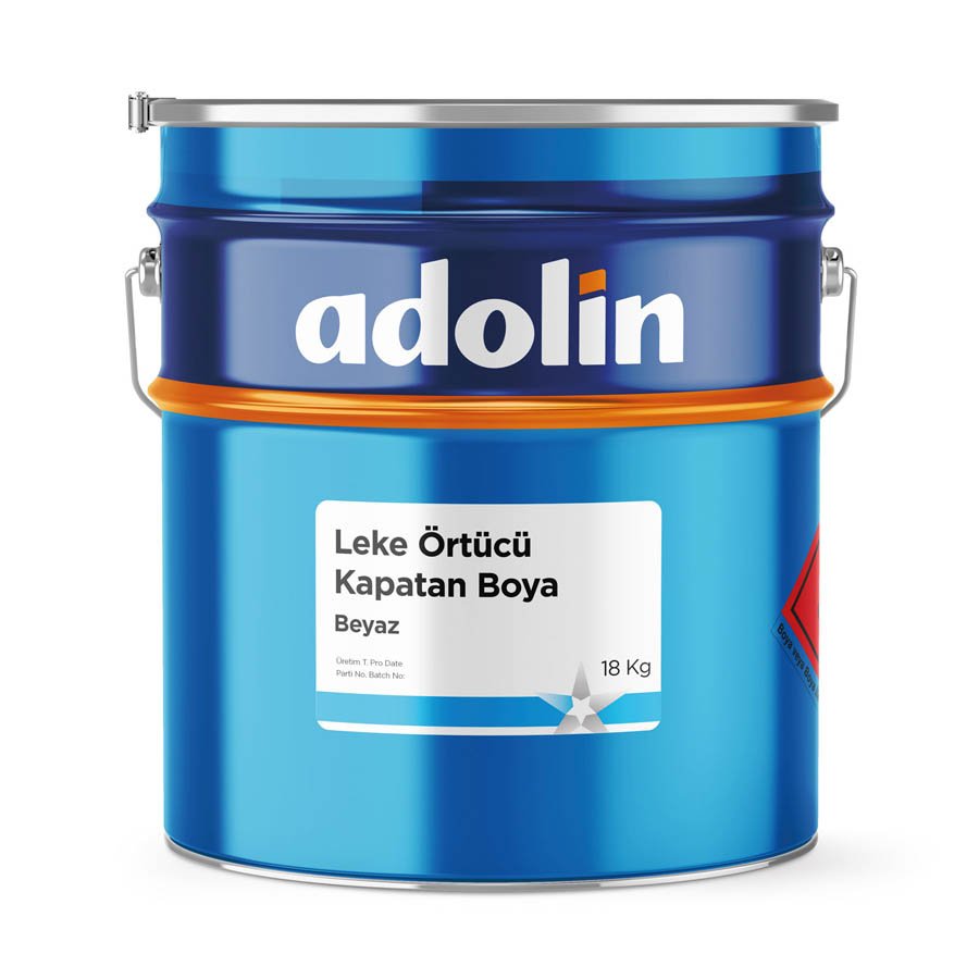 Leke Kapatan Örtücü Boya